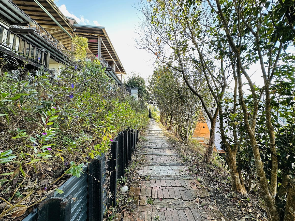 【蟬說:山中靜靜】台中酒桶山豪華秋冬露營,桂花弄帳篷區絕美景