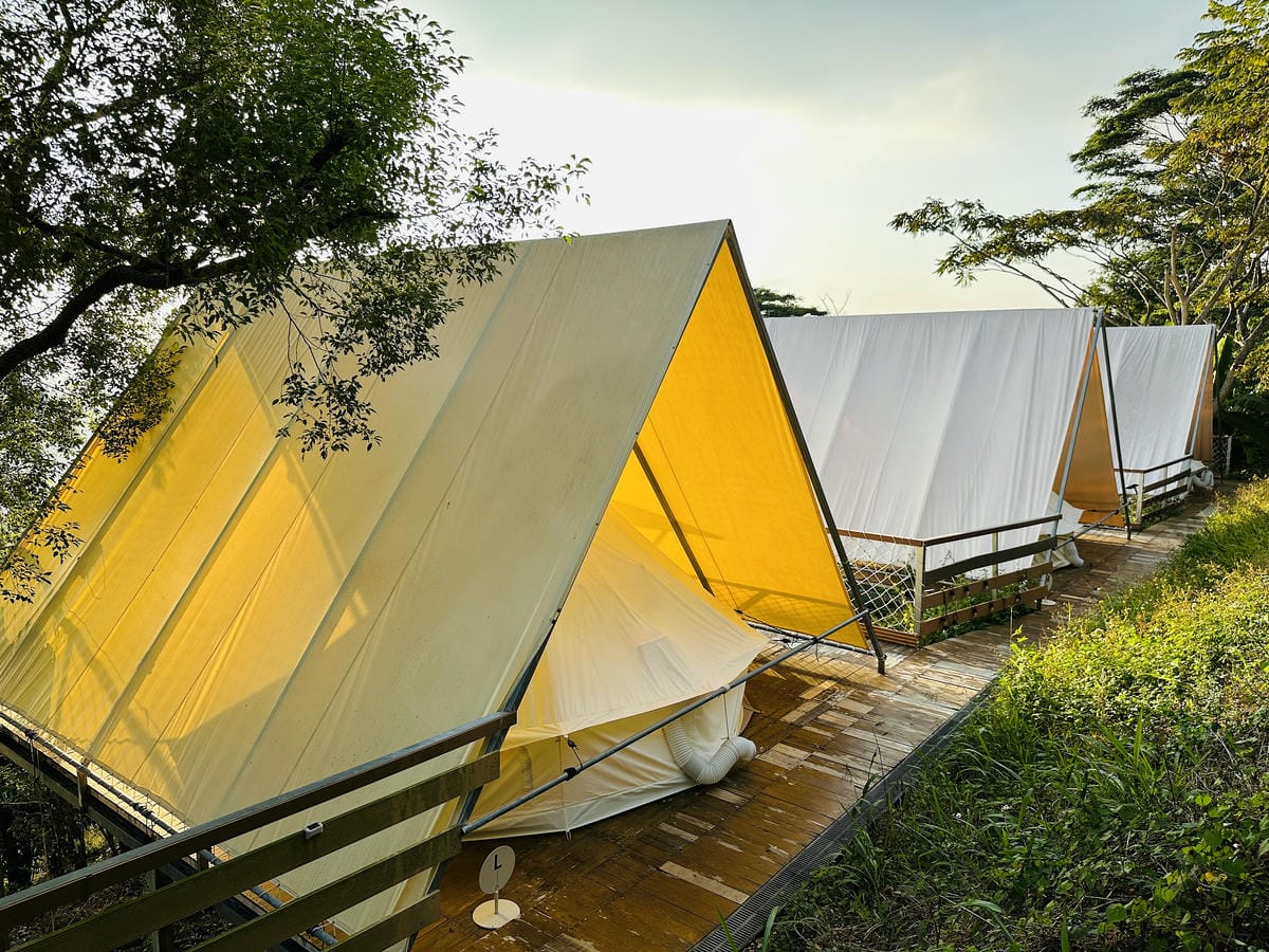 【蟬說:山中靜靜】台中酒桶山豪華秋冬露營,桂花弄帳篷區絕美景