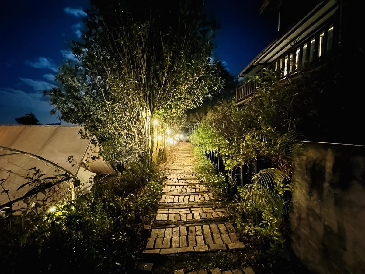 【蟬說:山中靜靜】台中酒桶山豪華秋冬露營,桂花弄帳篷區絕美景