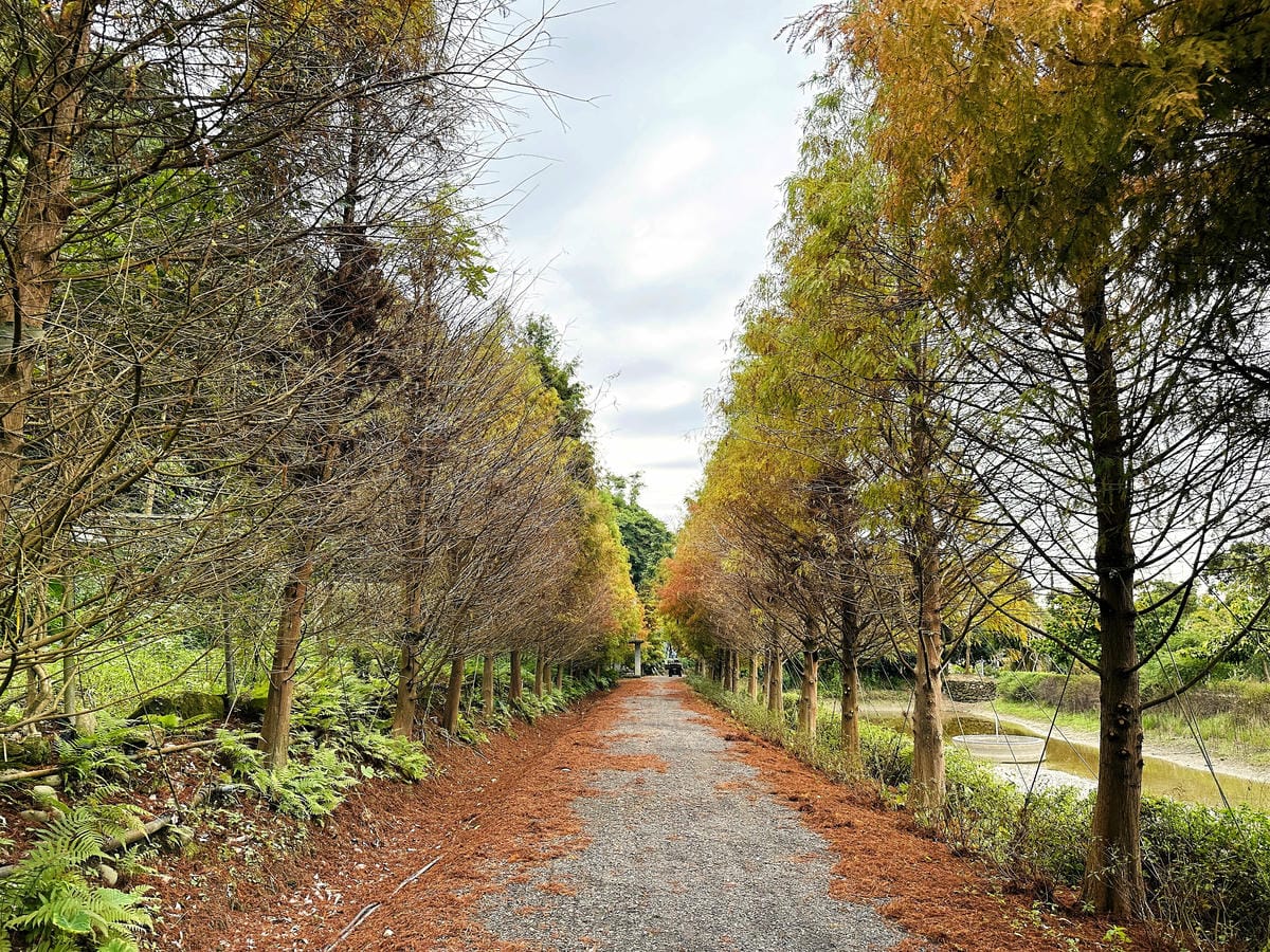 【鳶山紅樓】新北三峽景觀餐廳推薦!精緻創意無菜單料理套餐,絕