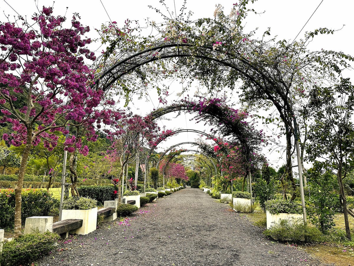 【鳶山紅樓】新北三峽景觀餐廳推薦!精緻創意無菜單料理套餐,絕