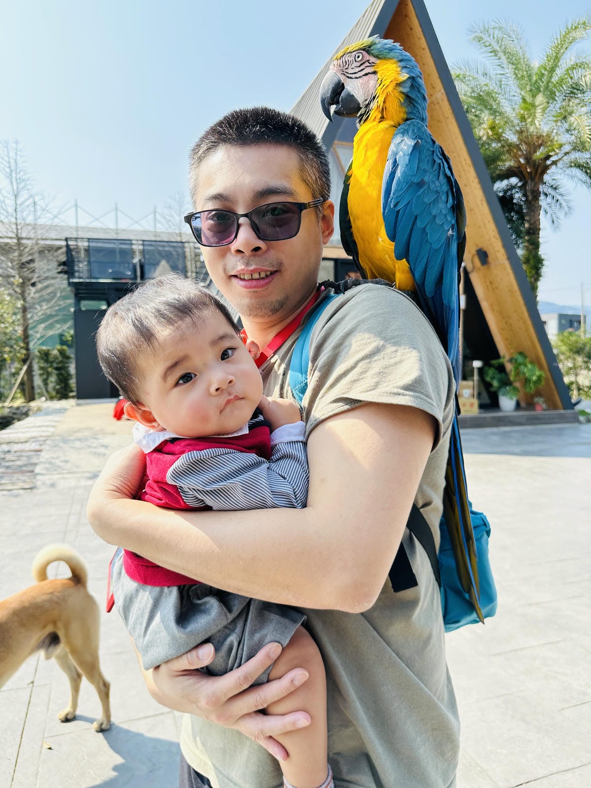 【禾光同晨villa休閒會館】宜蘭三星民宿推薦!高時尚品味「