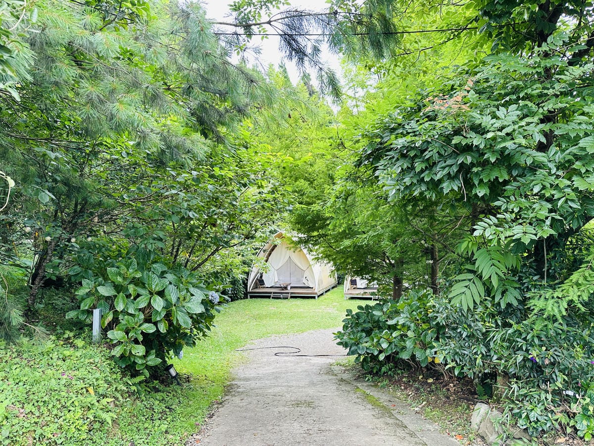 【蟬說:霧繞WooRao】新竹五峰鄉「白蘭部落」露營區推薦!