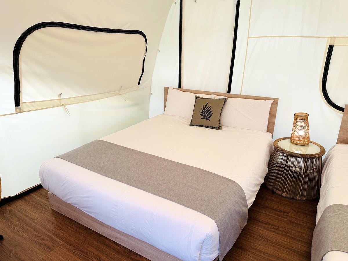 【蟬說:霧繞WooRao】新竹五峰鄉「白蘭部落」露營區推薦!