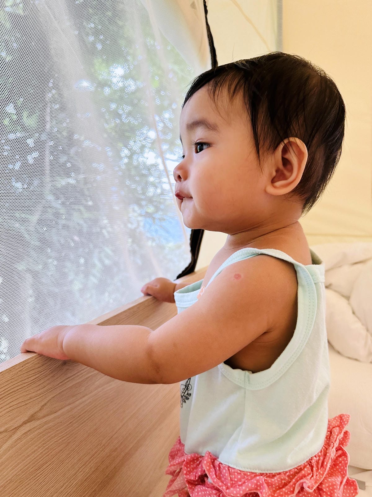 【蟬說:霧繞WooRao】新竹五峰鄉「白蘭部落」露營區推薦!