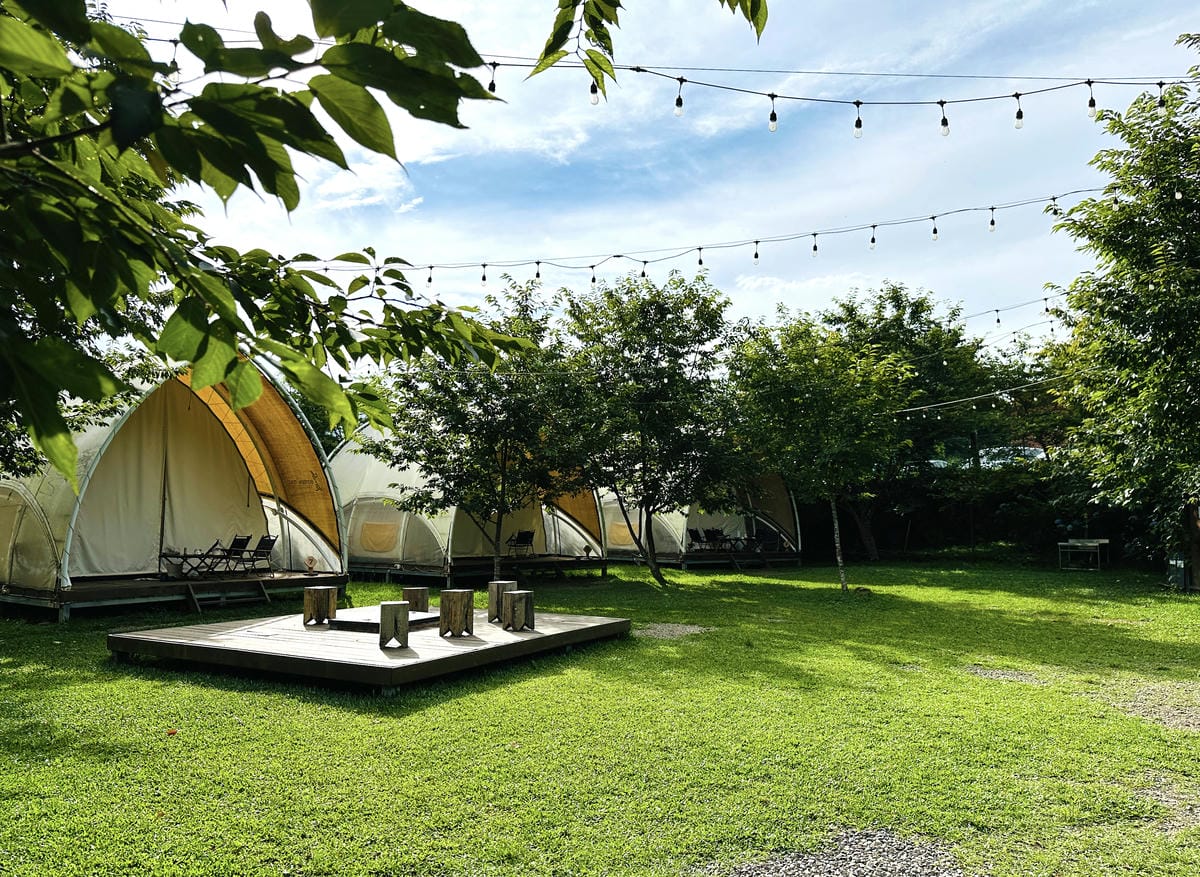 【蟬說:霧繞WooRao】新竹五峰鄉「白蘭部落」露營區推薦!