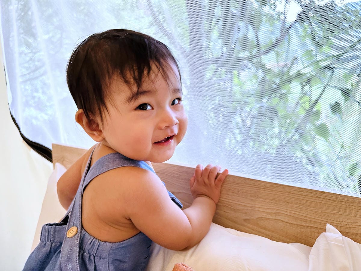 【蟬說:霧繞WooRao】新竹五峰鄉「白蘭部落」露營區推薦!