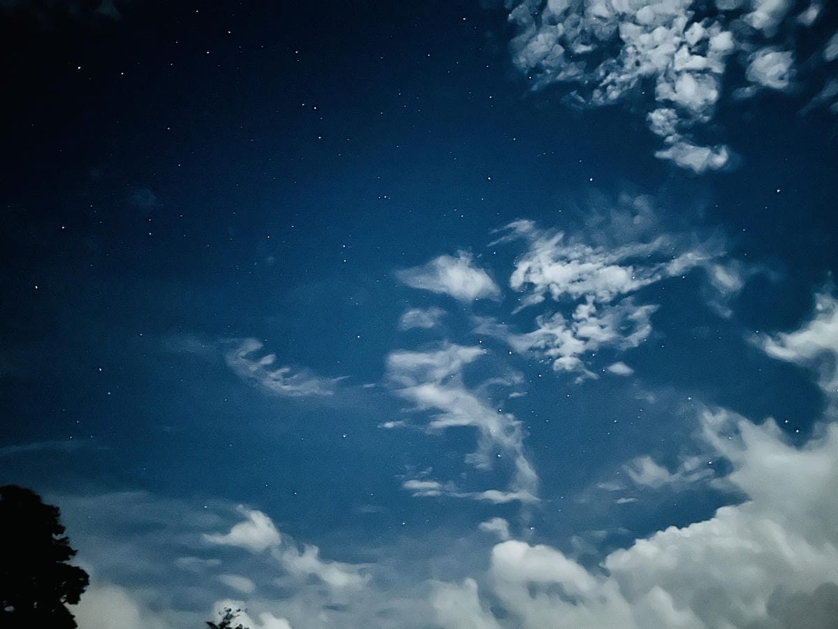 【蟬說:霧繞WooRao】新竹五峰鄉「白蘭部落」露營區推薦!