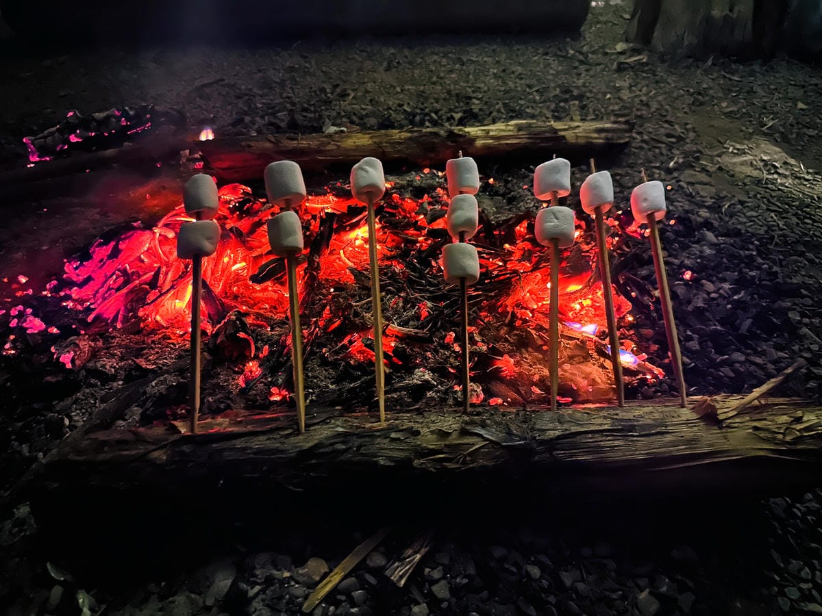 【蟬說:霧繞WooRao】新竹五峰鄉「白蘭部落」露營區推薦!