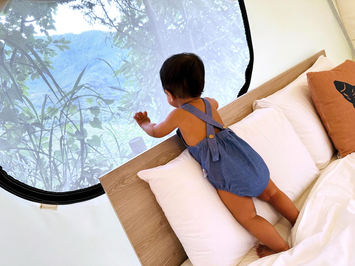 【蟬說:霧繞WooRao】新竹五峰鄉「白蘭部落」露營區推薦!