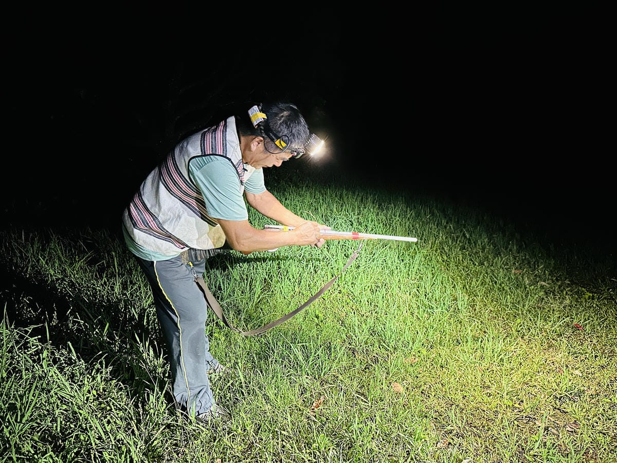 【蟬說:霧繞WooRao】新竹五峰鄉「白蘭部落」露營區推薦!
