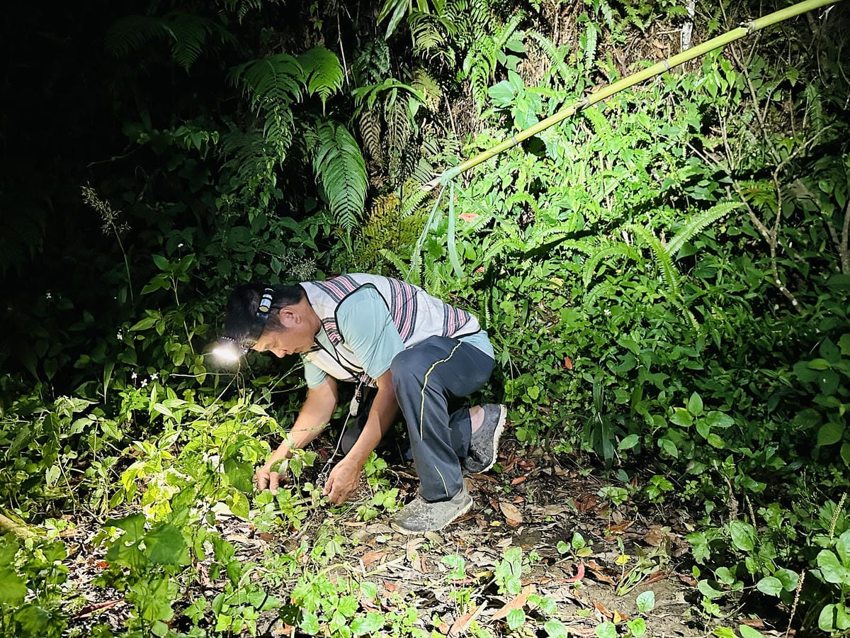 【蟬說:霧繞WooRao】新竹五峰鄉「白蘭部落」露營區推薦!