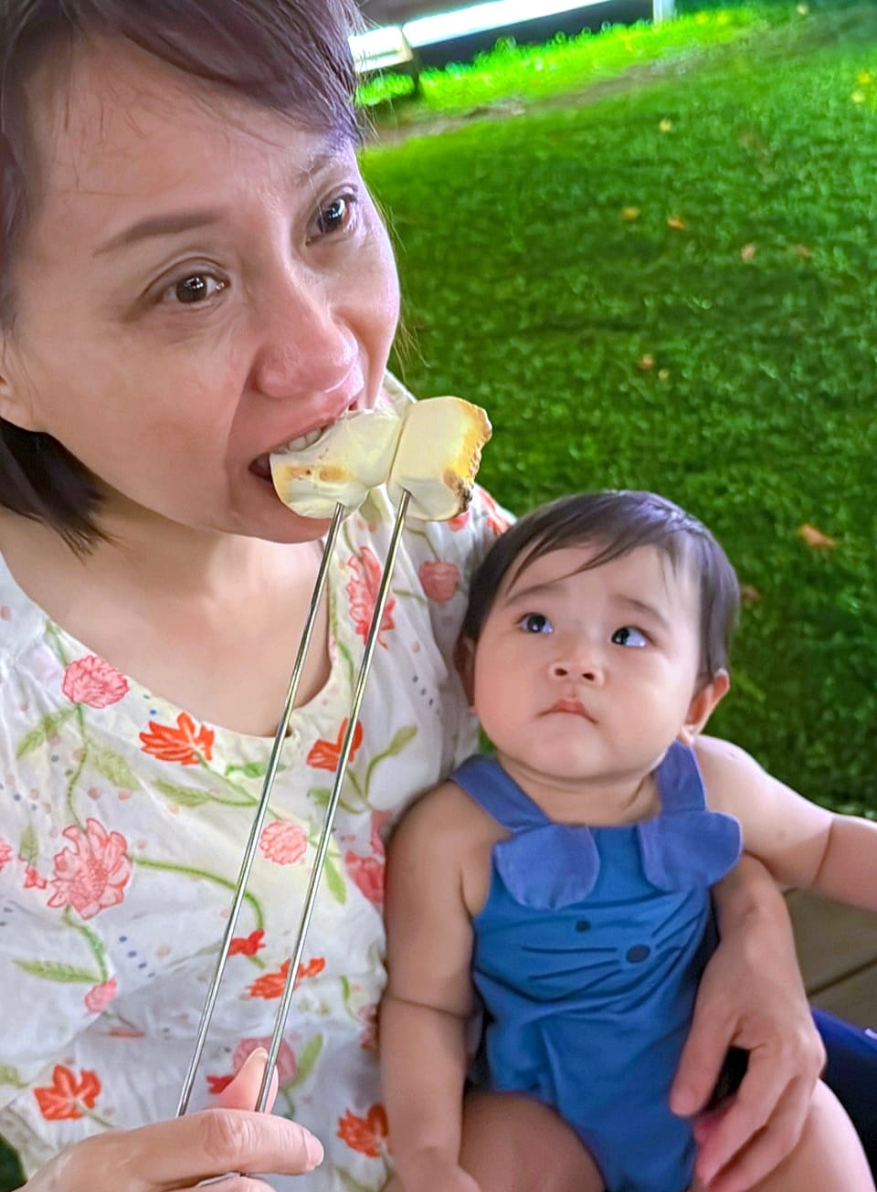 【蟬說:霧繞WooRao】新竹五峰鄉「白蘭部落」露營區推薦!