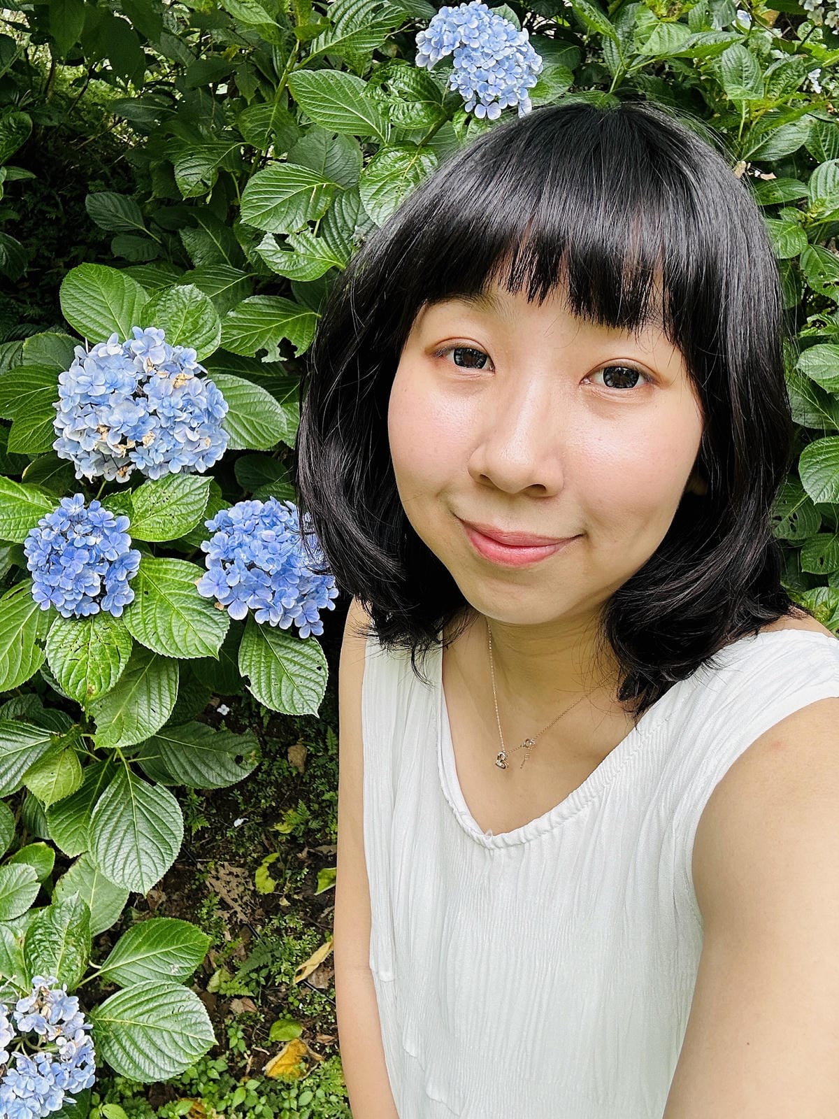 【蟬說:霧繞WooRao】新竹五峰鄉「白蘭部落」露營區推薦!