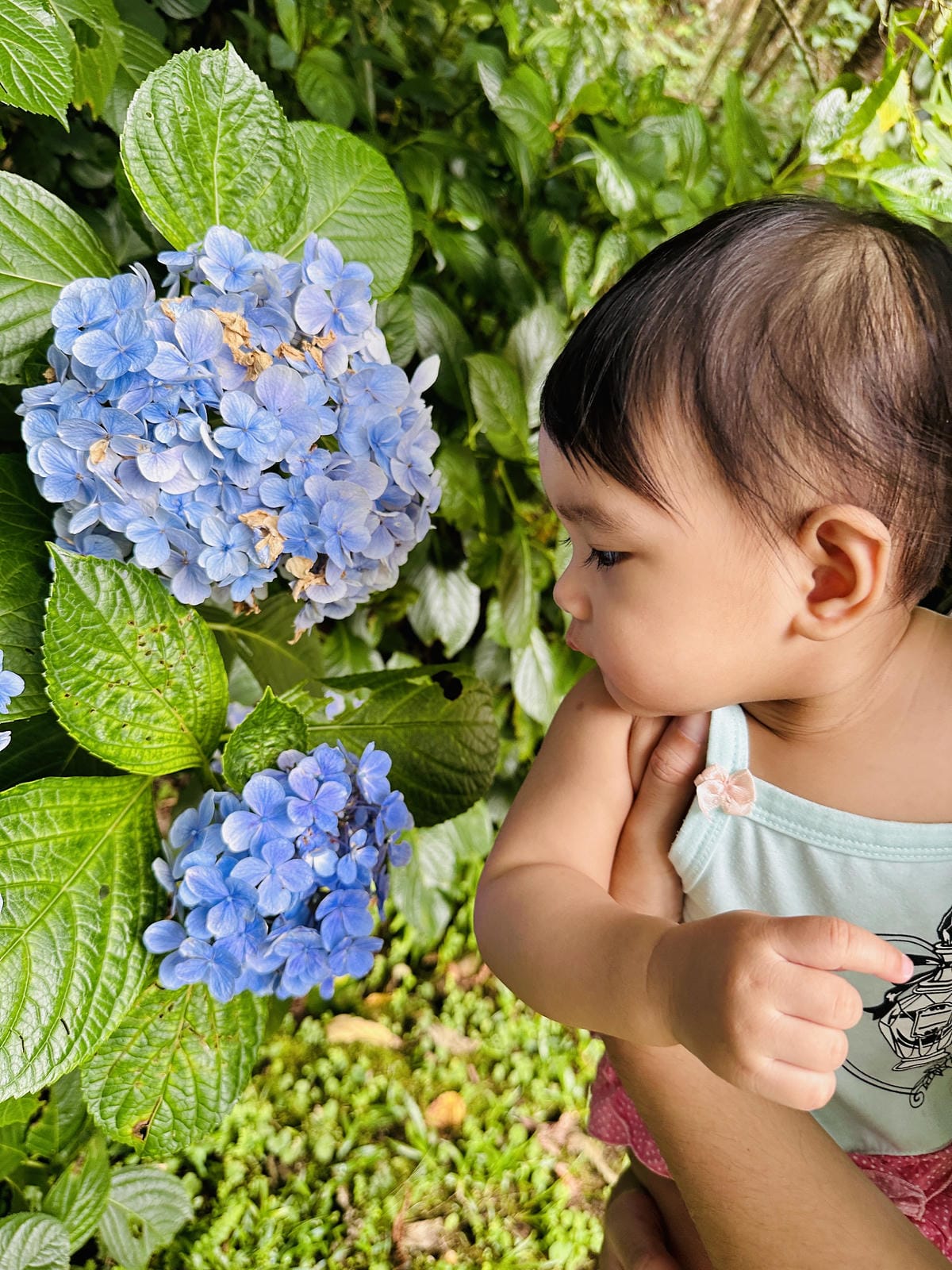 【蟬說:霧繞WooRao】新竹五峰鄉「白蘭部落」露營區推薦!