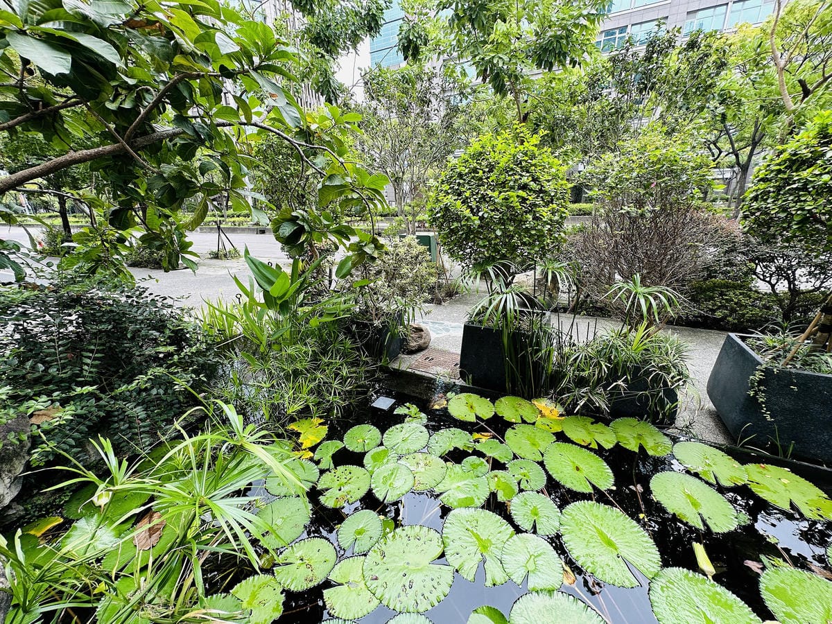 【Poetry如詩】台北大直美食推薦!佔地百坪用餐環境,約會