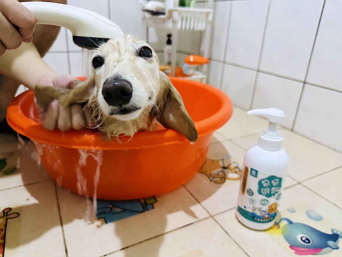 【木酢寵物達人】臭臭退散!毛小孩清潔保養品推薦!純天然木酢清