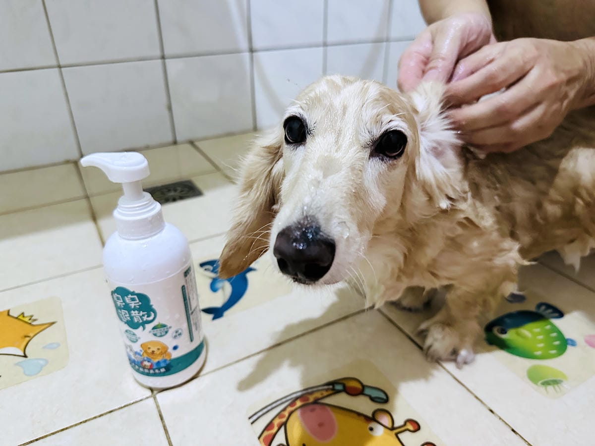 【木酢寵物達人】臭臭退散!毛小孩清潔保養品推薦!純天然木酢清