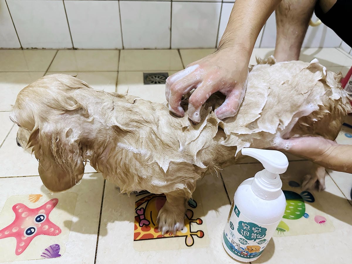 【木酢寵物達人】臭臭退散!毛小孩清潔保養品推薦!純天然木酢清