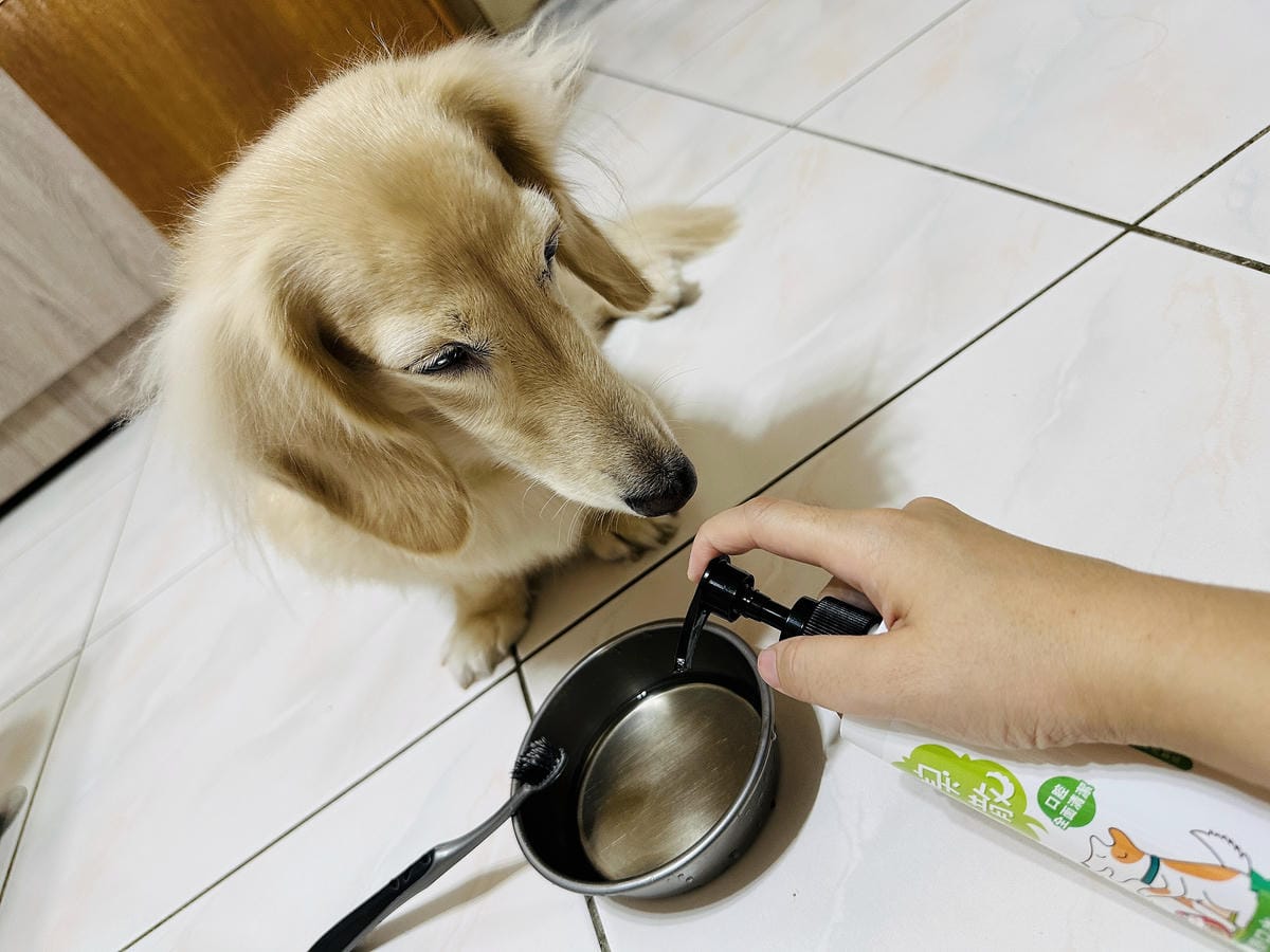 【木酢寵物達人】臭臭退散!毛小孩清潔保養品推薦!純天然木酢清