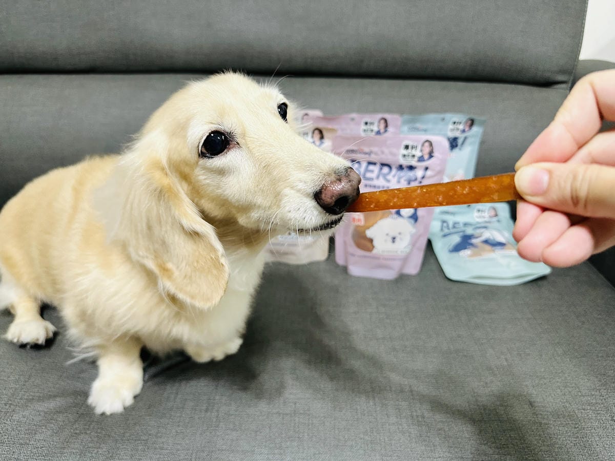 【汪汪寶貝】BER棒寵物機能零食開箱!狗狗零食推薦添加專利芽