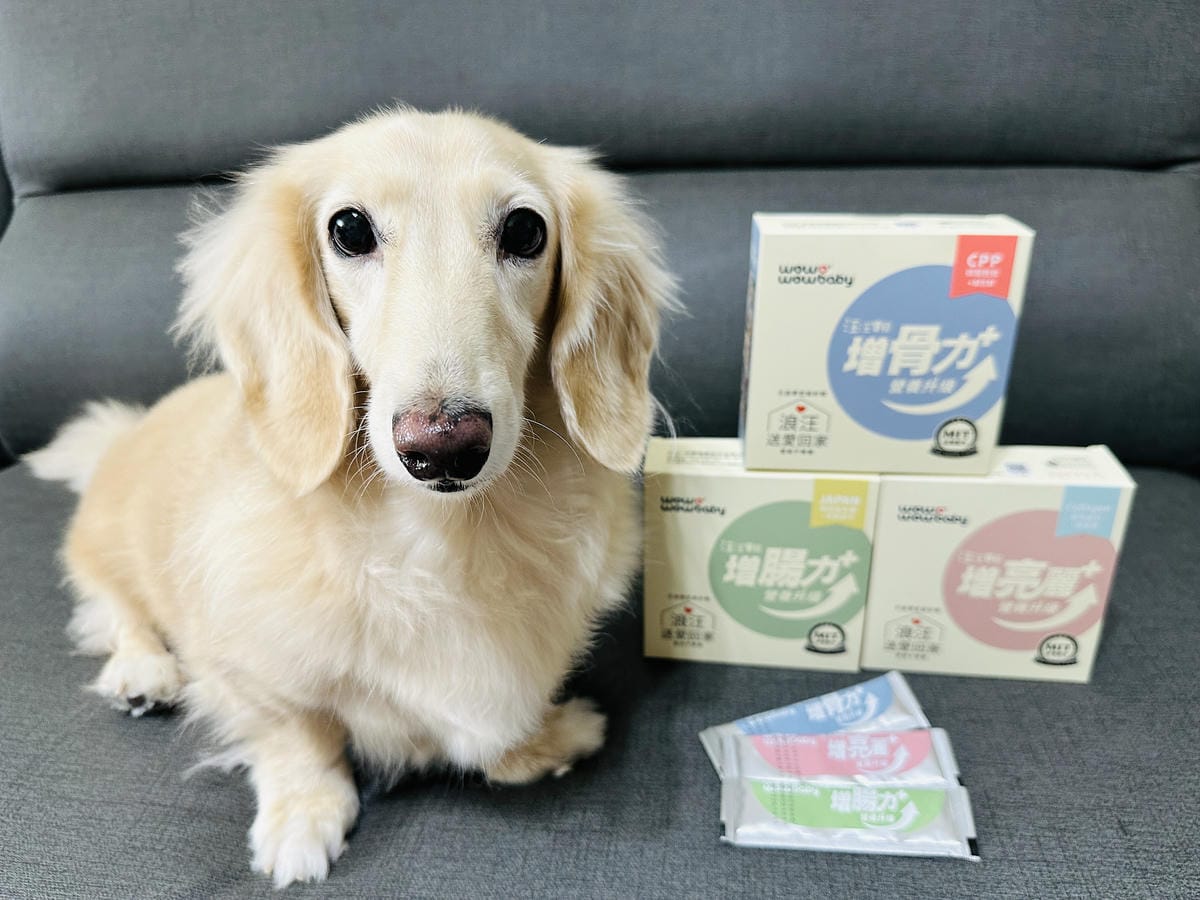 【汪汪寶貝】BER棒寵物機能零食開箱!狗狗零食推薦添加專利芽