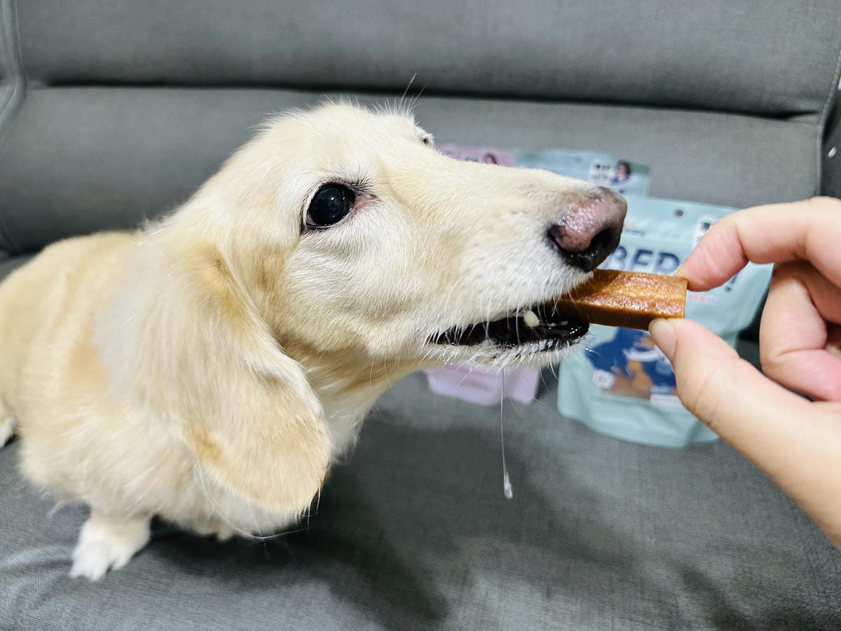 【汪汪寶貝】BER棒寵物機能零食開箱!狗狗零食推薦添加專利芽