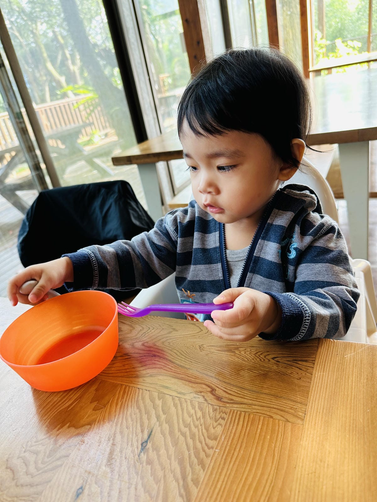 【鳳凰‧森之鳴】南投鹿谷鄉鳳凰自然教育園區,入住會呼吸的森林