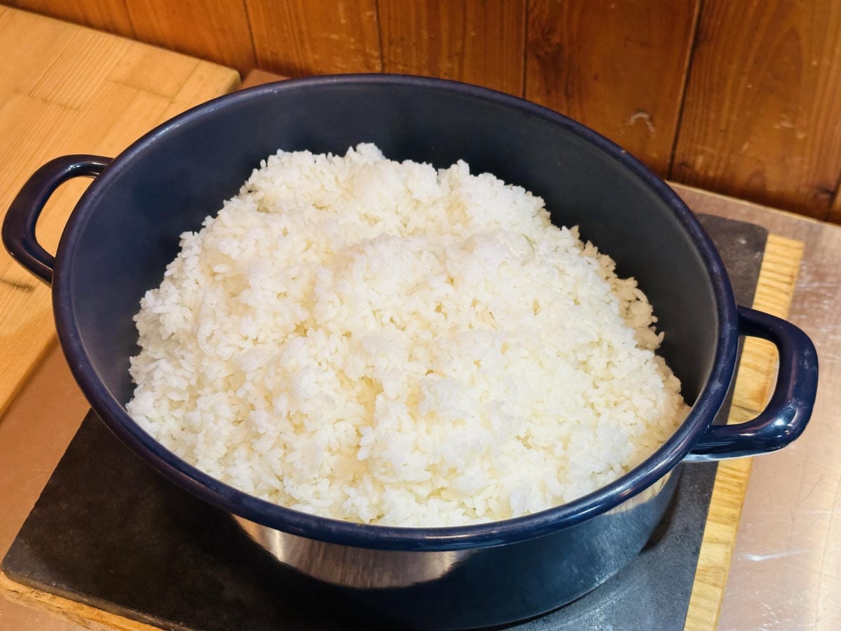 【鳳凰‧森之鳴】南投鹿谷鄉鳳凰自然教育園區,入住會呼吸的森林