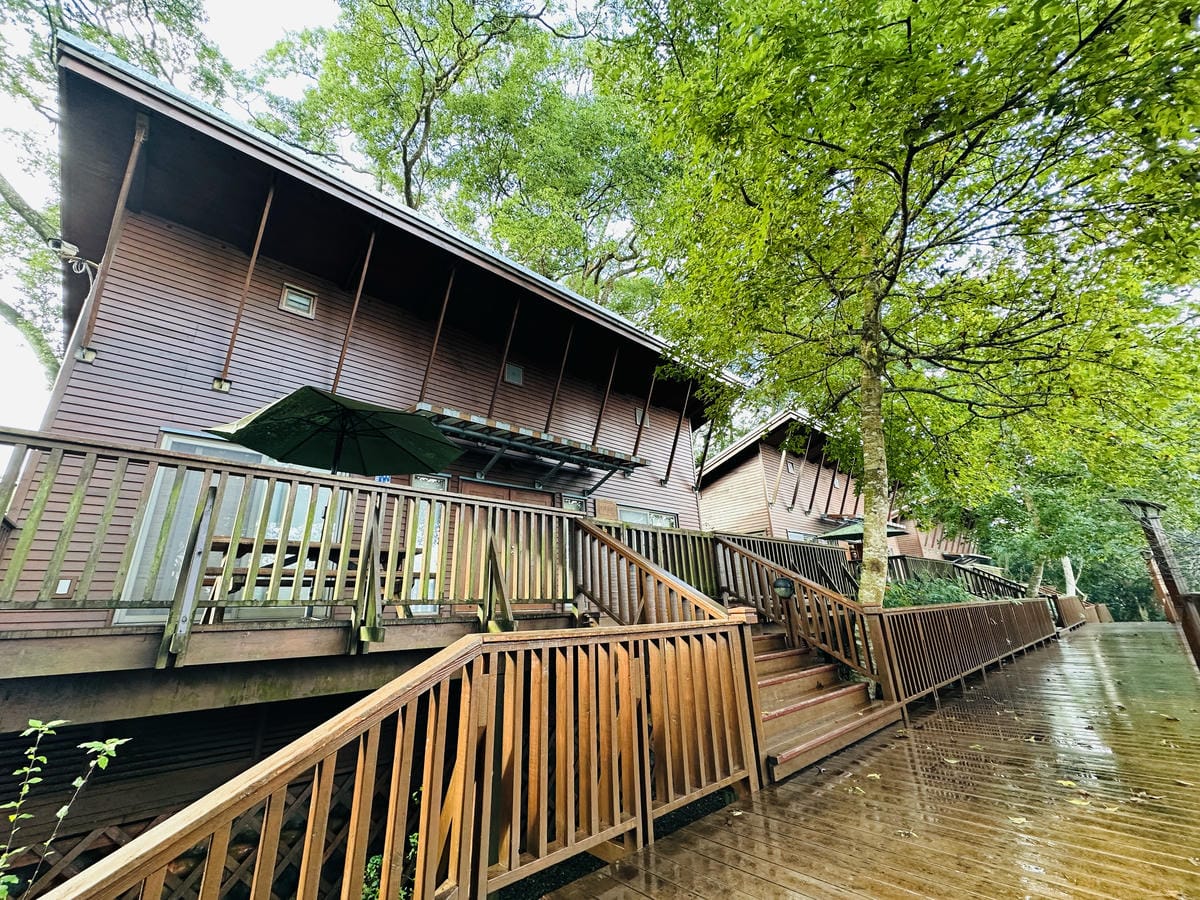 【鳳凰‧森之鳴】南投鹿谷鄉鳳凰自然教育園區,入住會呼吸的森林