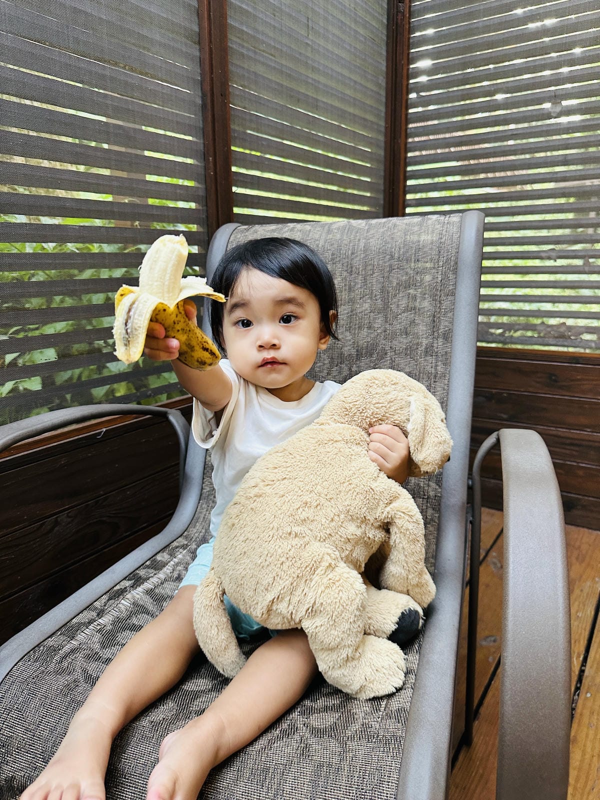 【鳳凰‧森之鳴】南投鹿谷鄉鳳凰自然教育園區,入住會呼吸的森林