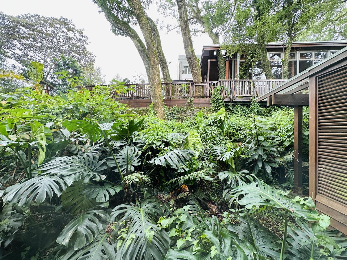 【鳳凰‧森之鳴】南投鹿谷鄉鳳凰自然教育園區,入住會呼吸的森林