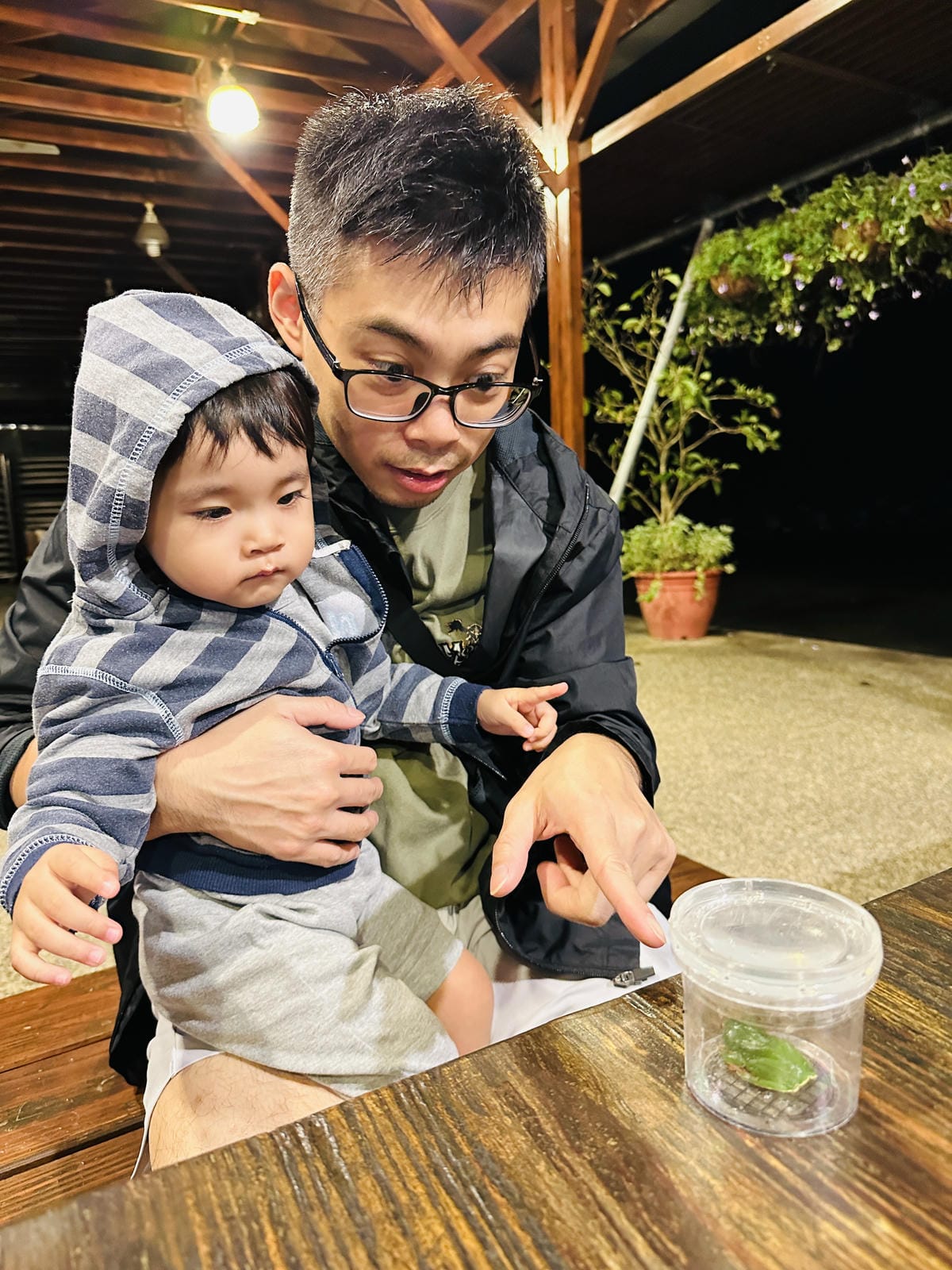 【鳳凰‧森之鳴】南投鹿谷鄉鳳凰自然教育園區,入住會呼吸的森林