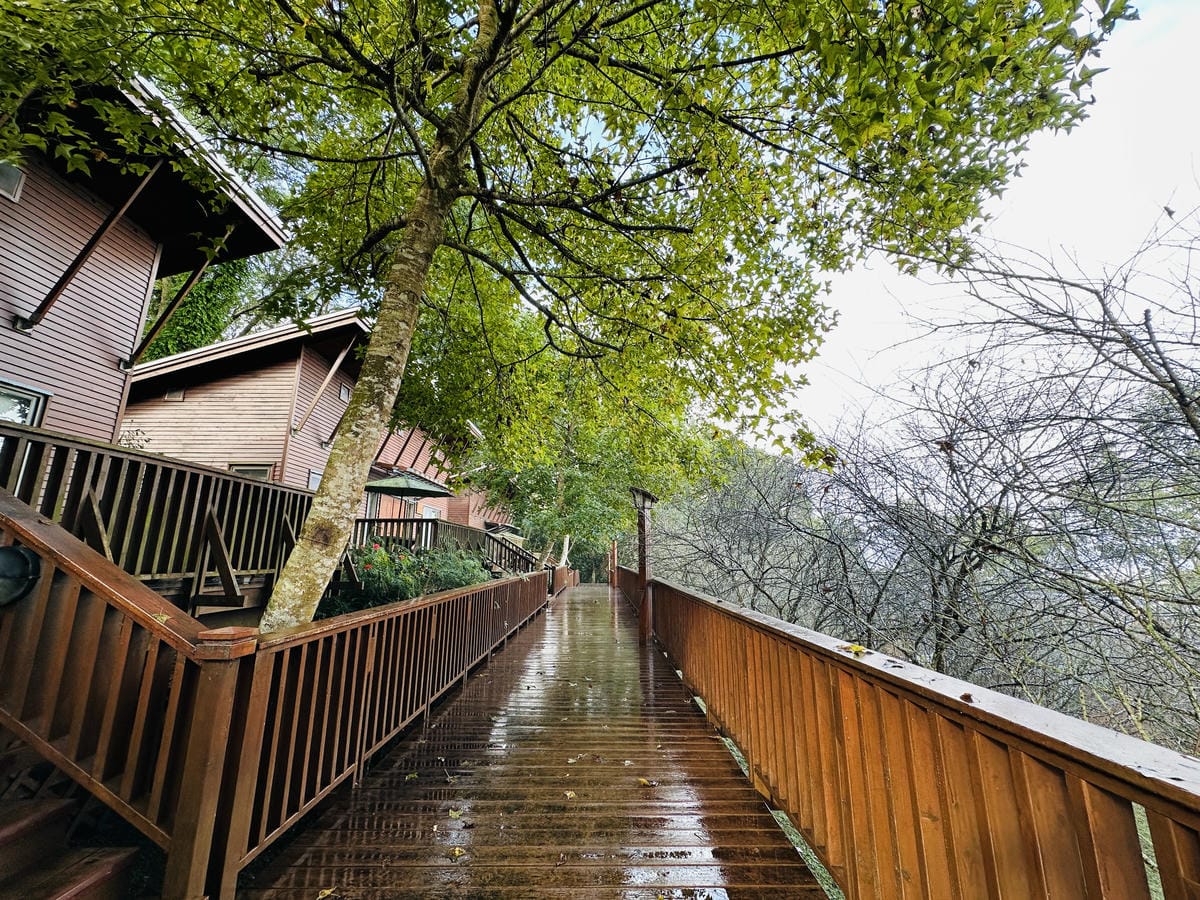 【鳳凰‧森之鳴】南投鹿谷鄉鳳凰自然教育園區,入住會呼吸的森林