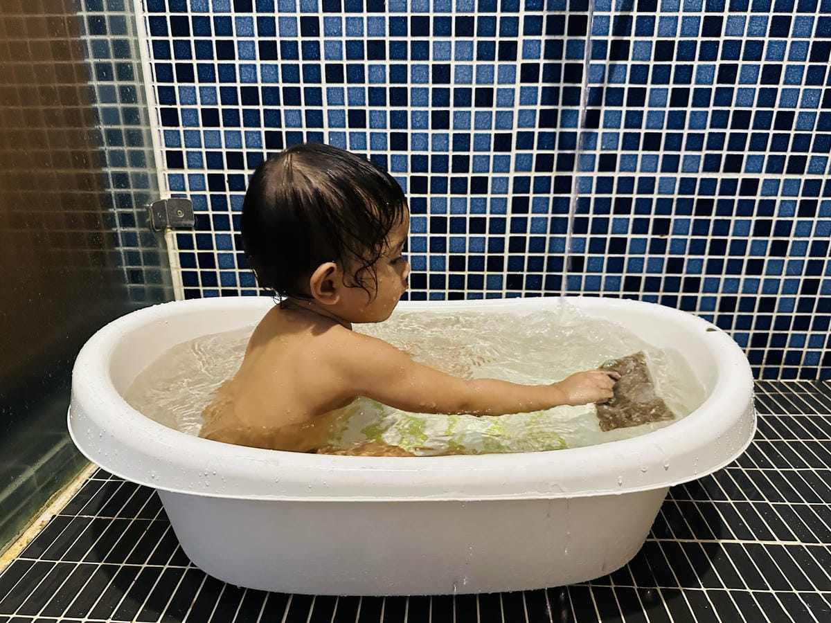 【鳳凰‧森之鳴】南投鹿谷鄉鳳凰自然教育園區,入住會呼吸的森林