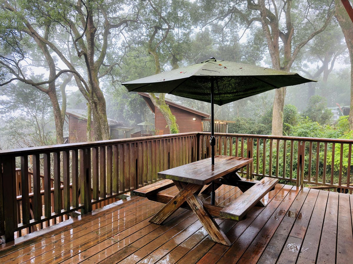 【鳳凰‧森之鳴】南投鹿谷鄉鳳凰自然教育園區,入住會呼吸的森林