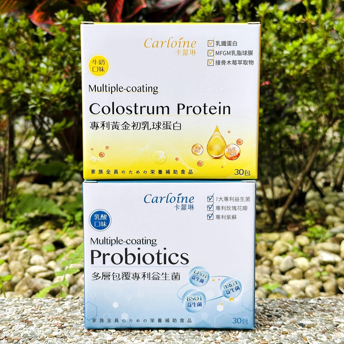 【卡蘿琳Carloine】多層包覆專利益生菌x專利黃金初乳球