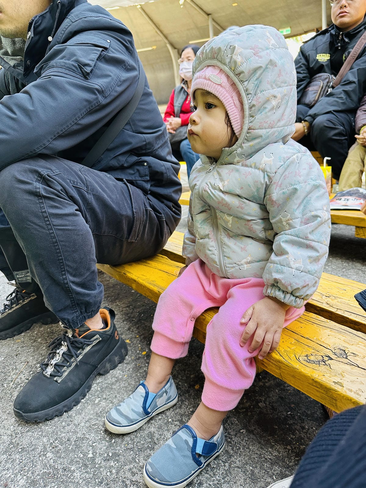 【西湖渡假村】一泊三食特惠住宿方案動態實境恐龍特展震撼登場