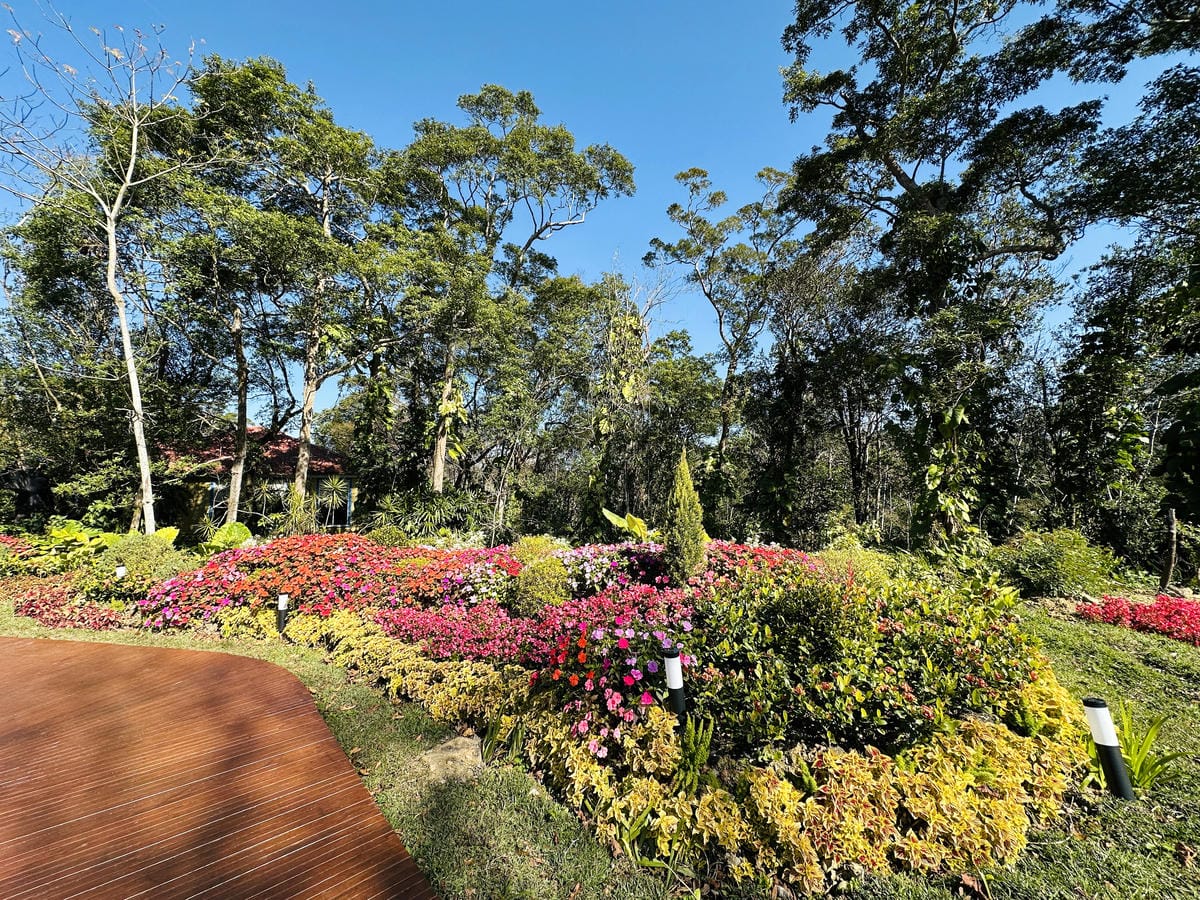【西湖渡假村】一泊三食特惠住宿方案動態實境恐龍特展震撼登場