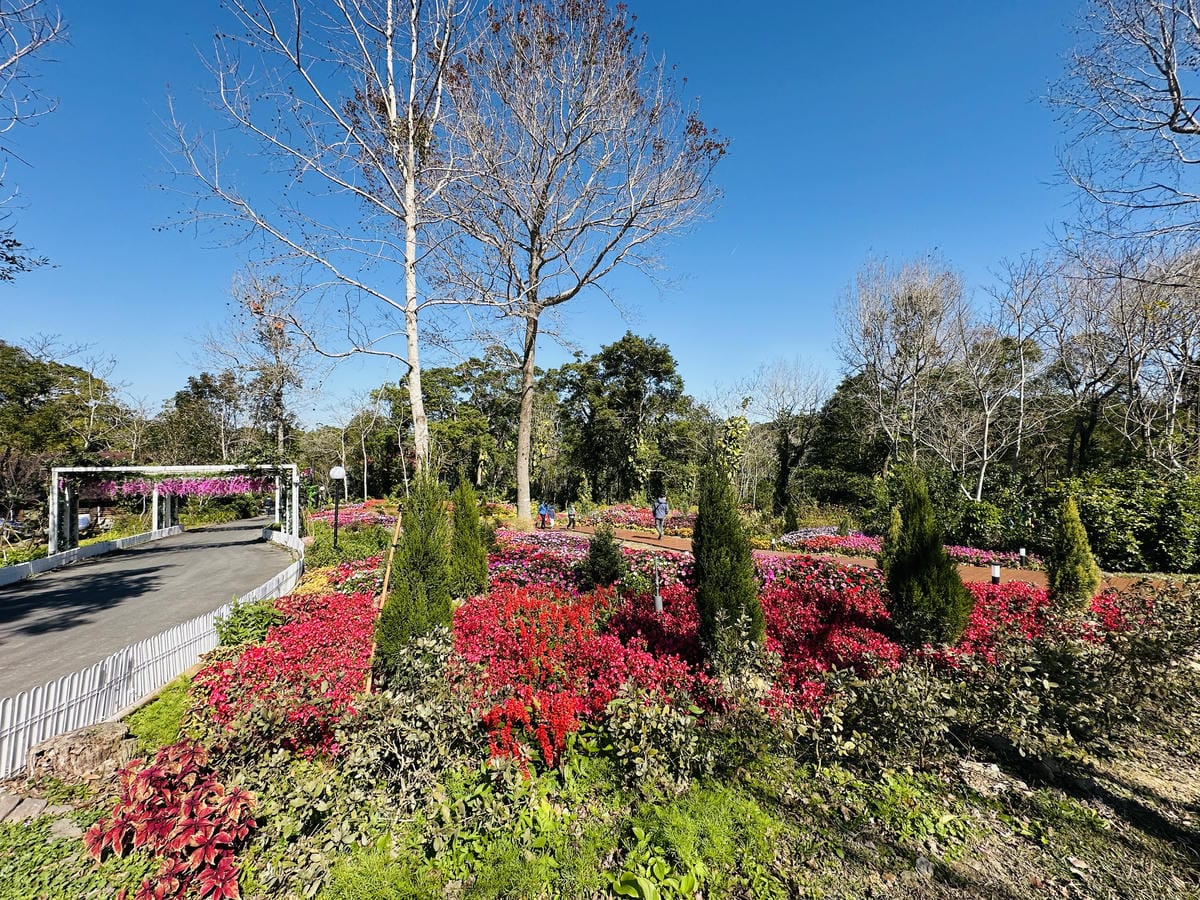 【西湖渡假村】一泊三食特惠住宿方案動態實境恐龍特展震撼登場