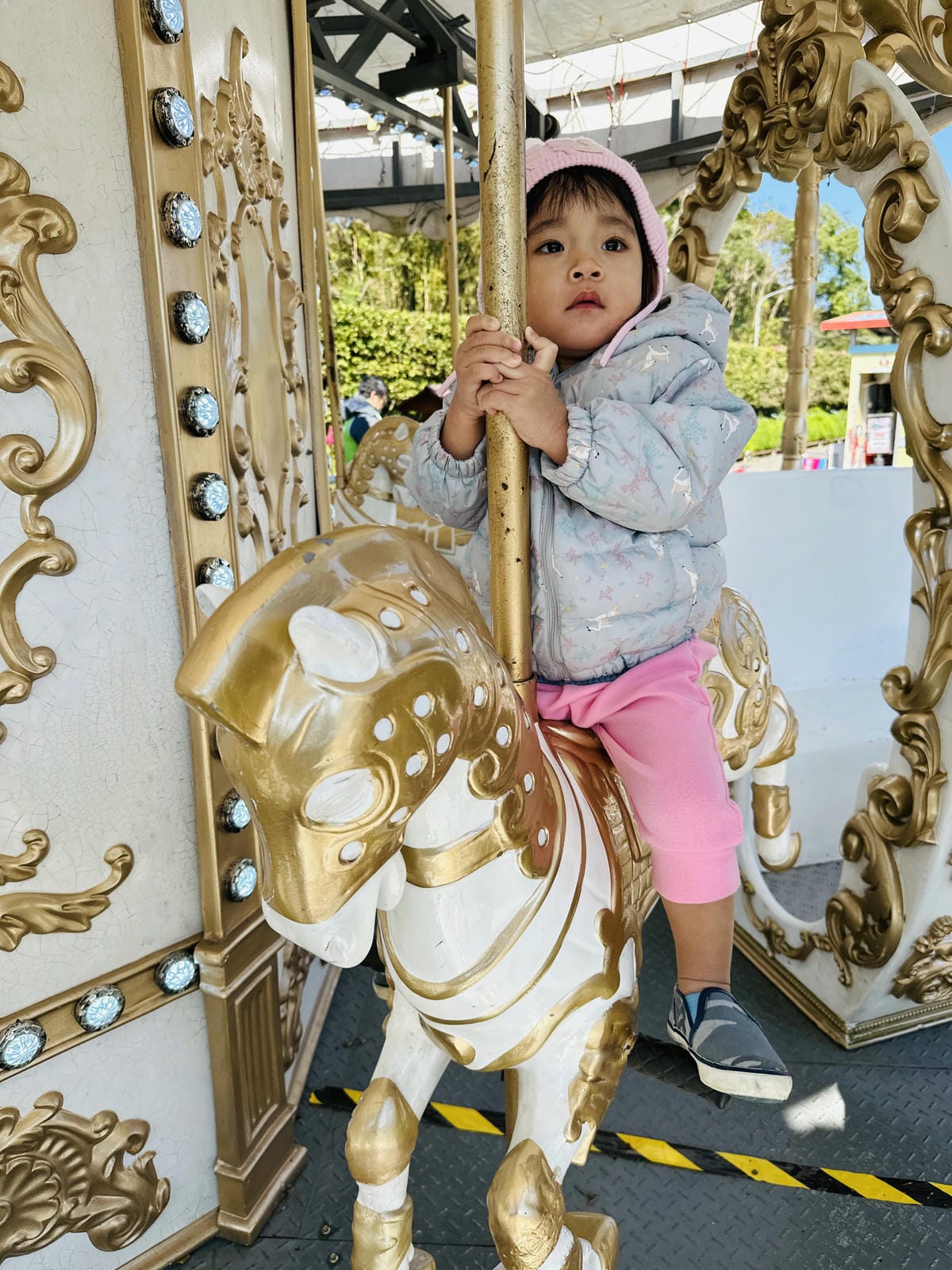 【西湖渡假村】一泊三食特惠住宿方案動態實境恐龍特展震撼登場