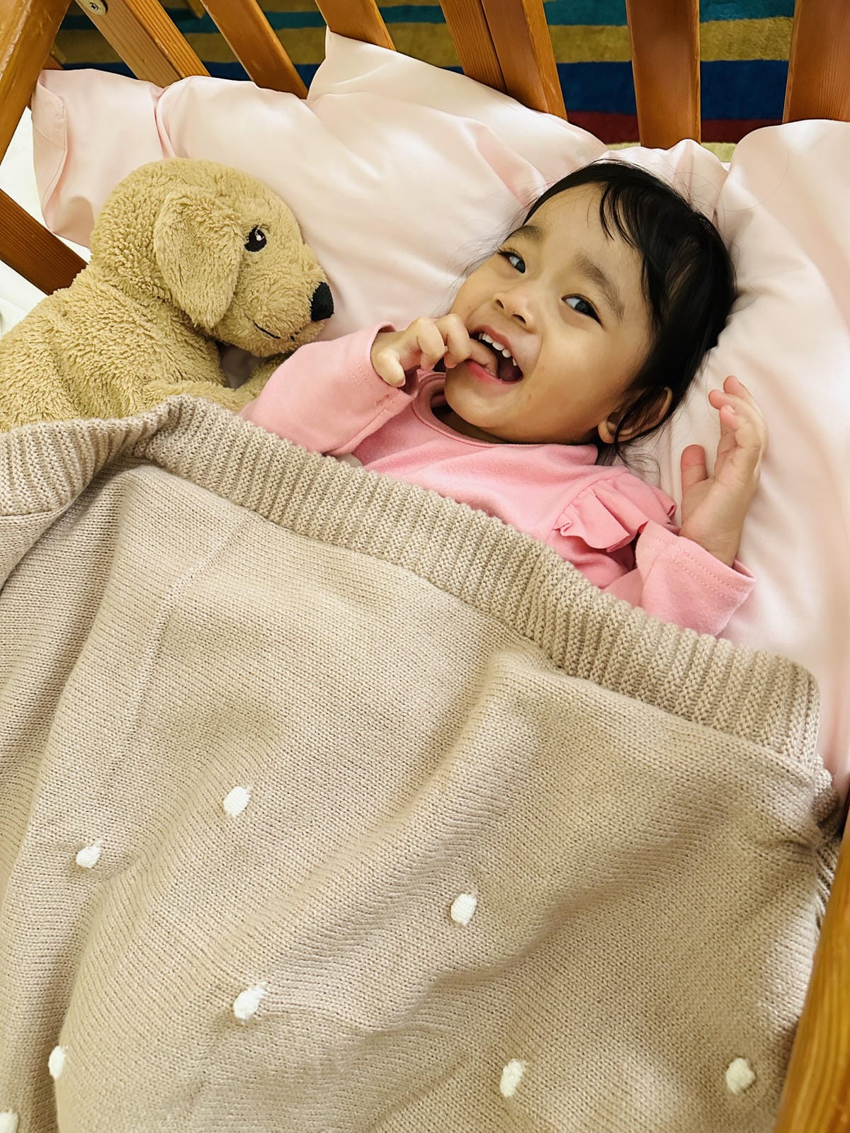 【西湖渡假村】一泊三食特惠住宿方案動態實境恐龍特展震撼登場