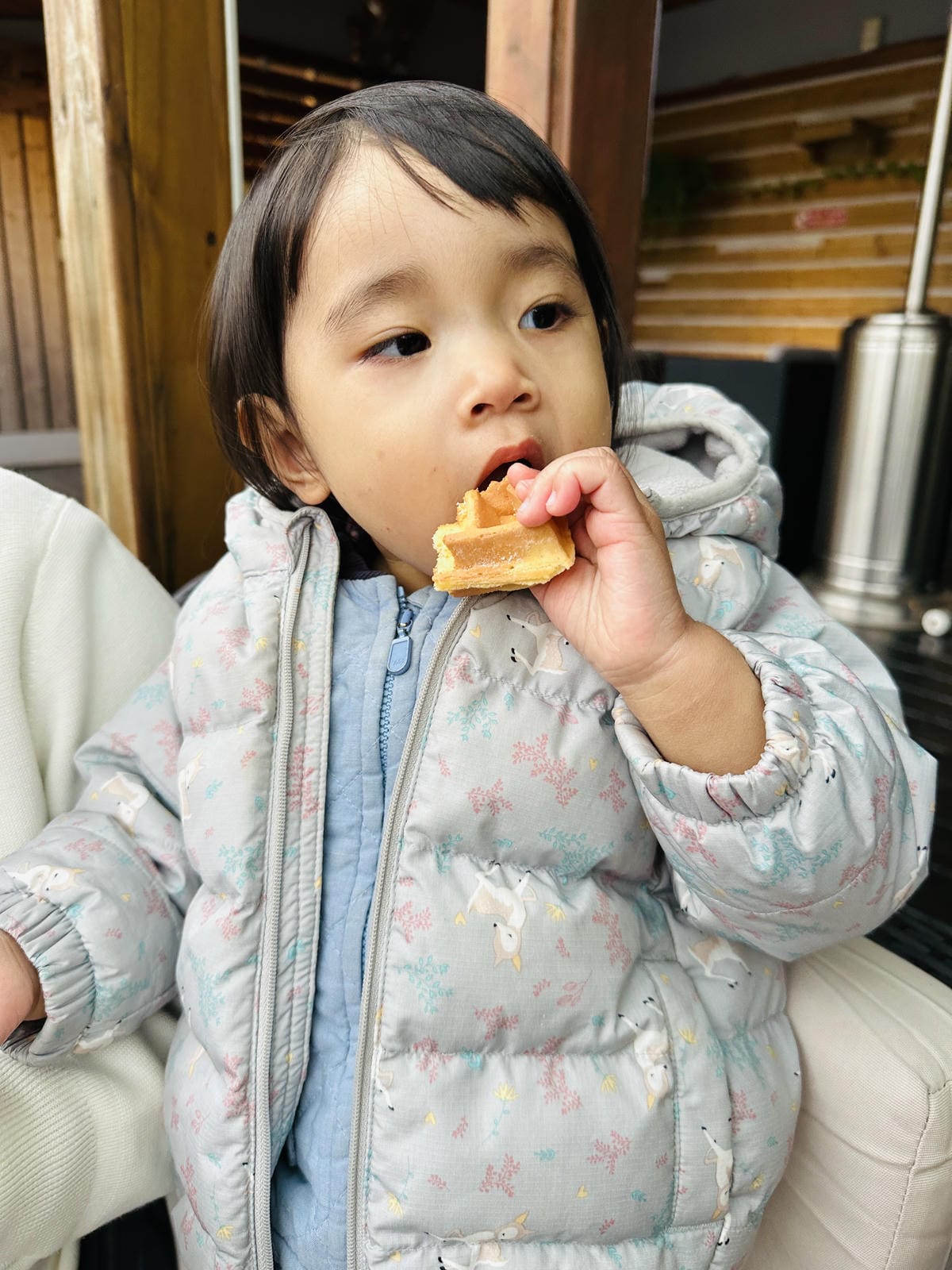 【西湖渡假村】一泊三食特惠住宿方案動態實境恐龍特展震撼登場