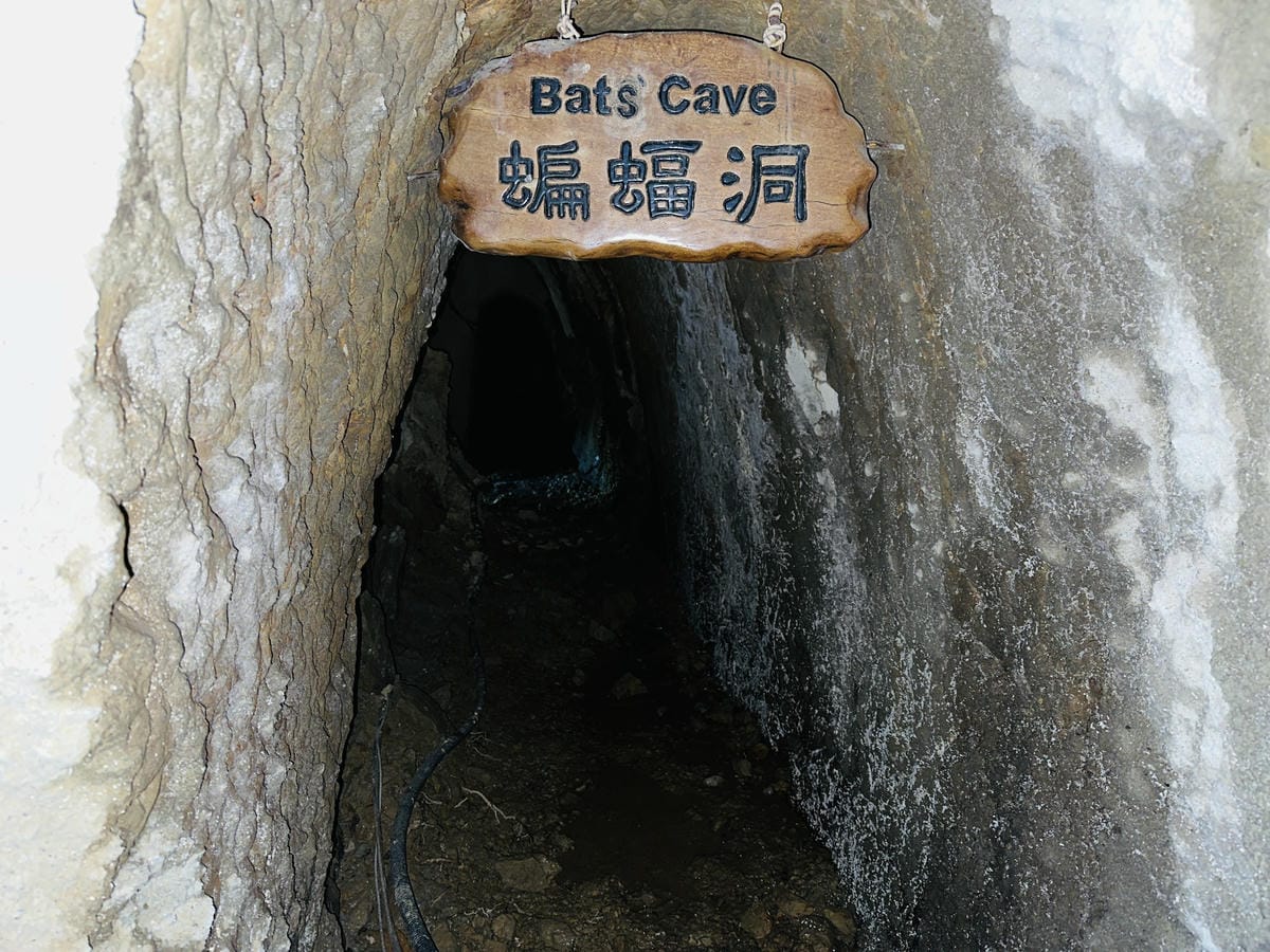 【西湖渡假村】一泊三食特惠住宿方案動態實境恐龍特展震撼登場