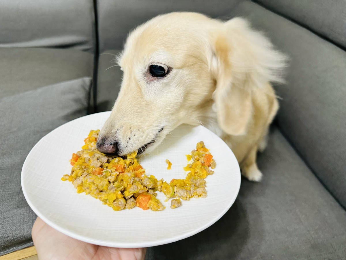 【愛毛客】寵物鮮食推薦!營養健康元氣滿滿,超可愛手作寵物鮮食