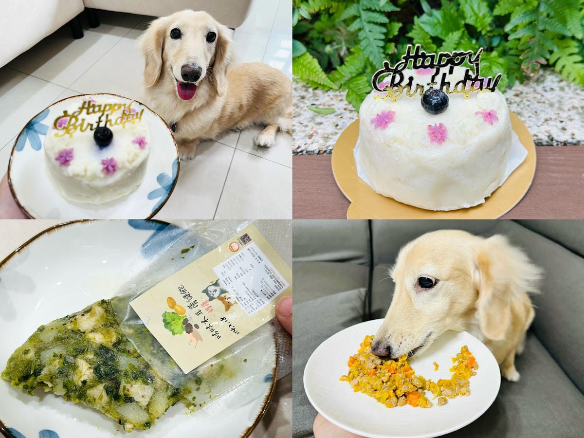 【愛毛客】寵物鮮食推薦!營養健康元氣滿滿,超可愛手作寵物鮮食