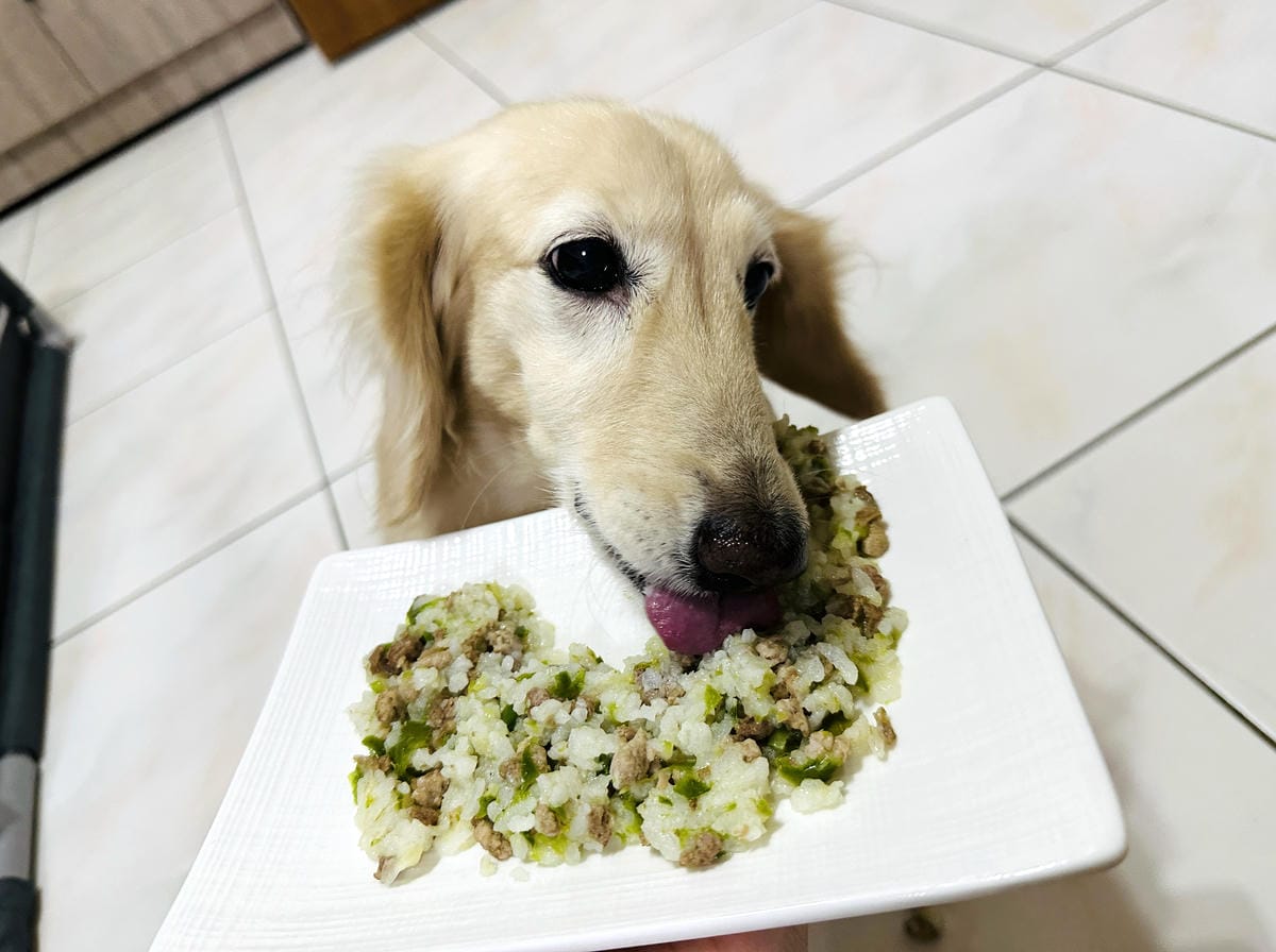 【愛毛客】寵物鮮食推薦!營養健康元氣滿滿,超可愛手作寵物鮮食