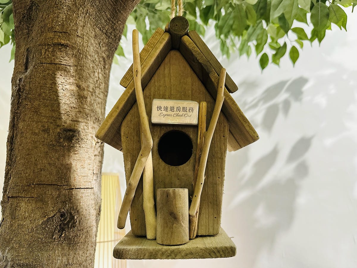 【安平胡桃民宿】台南安平包棟民宿推薦!帶你體驗獨特景觀泡腳池