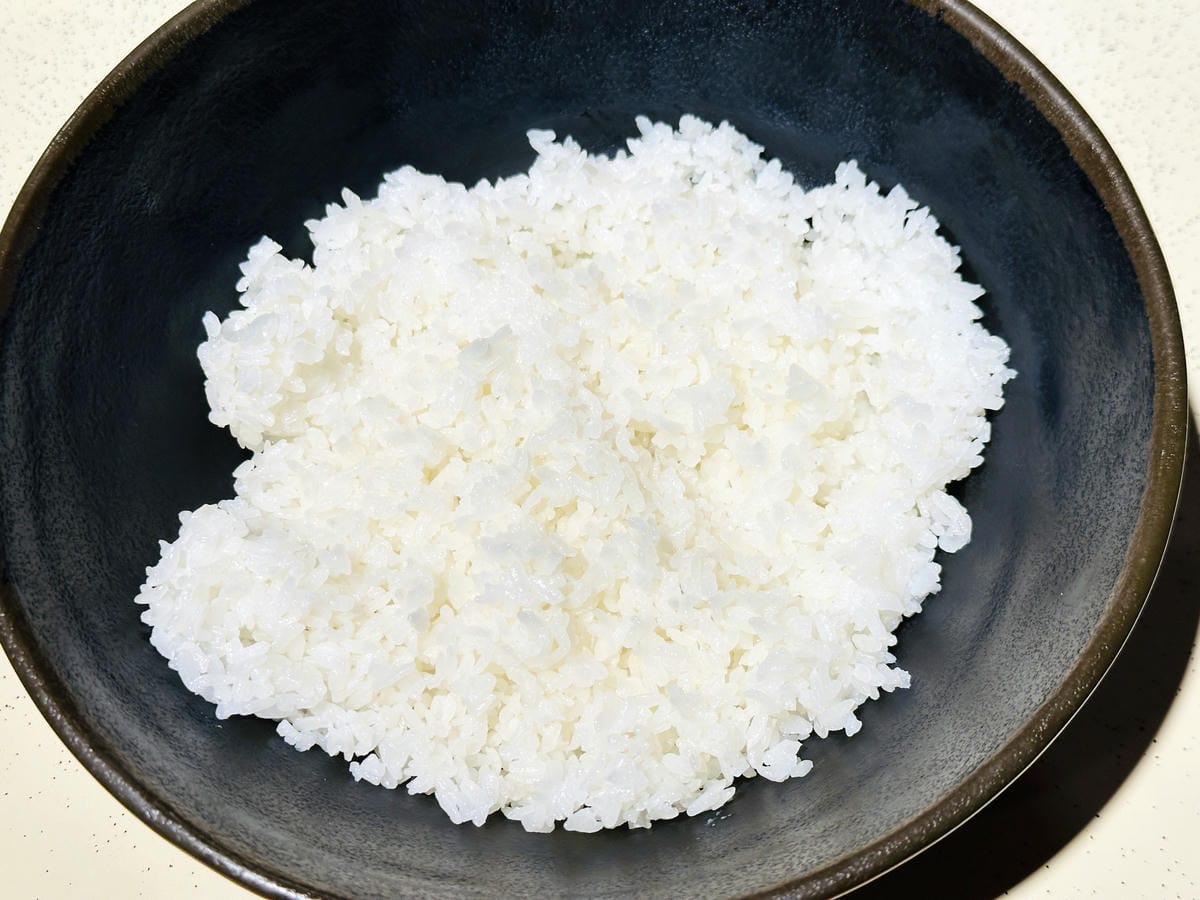 【築夢森居】嘉義親子旅行必訪!野奢豪華露營車開箱,超多元體驗