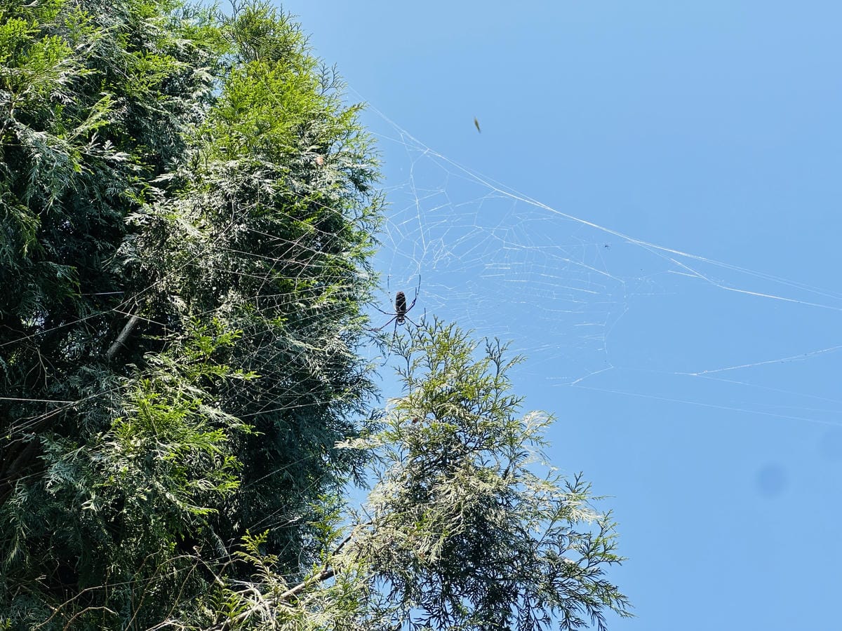 【築夢森居】嘉義親子旅行必訪!野奢豪華露營車開箱,超多元體驗